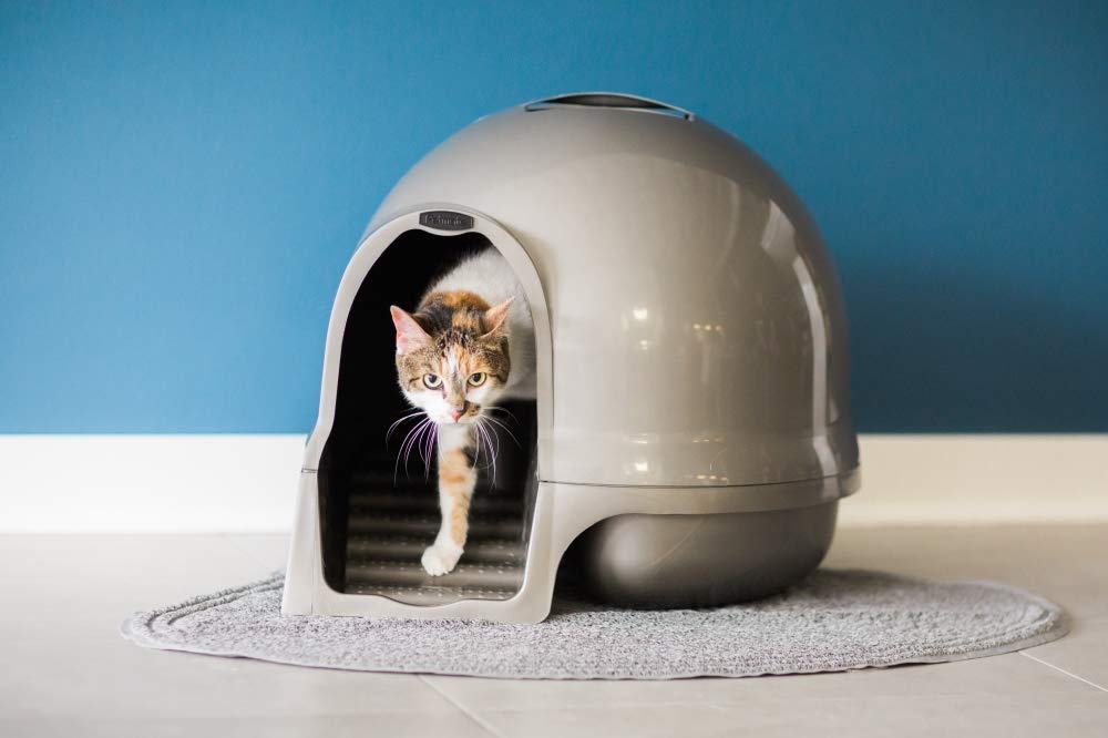 Pearl White Cat Litter Box Z549