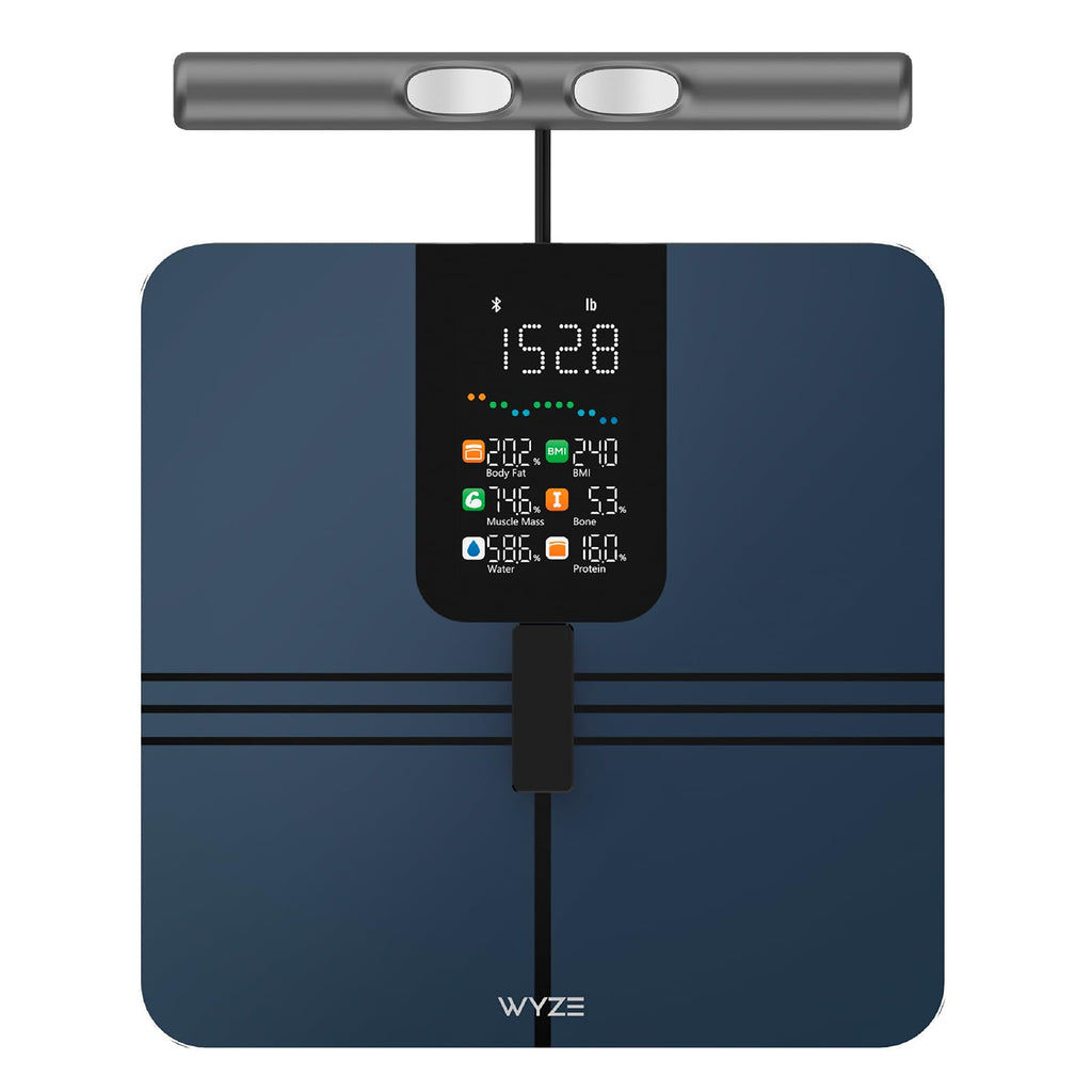 Bluetooth Smart Body Scale 400 lbs Black L449