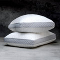 King Dual Chamber Pillow 2-Pack N189