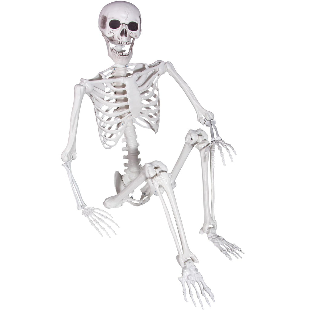 Life Size Skeleton with Posable Joints T74274