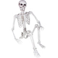 Life Size Skeleton with Posable Joints T74274