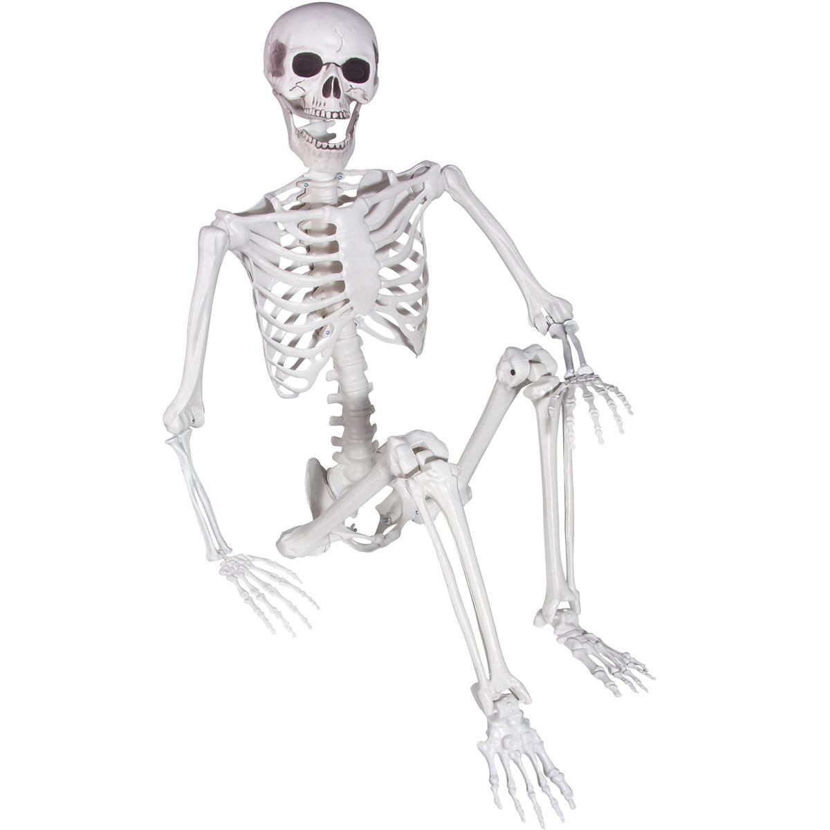 Life Size Skeleton with Posable Joints T74274