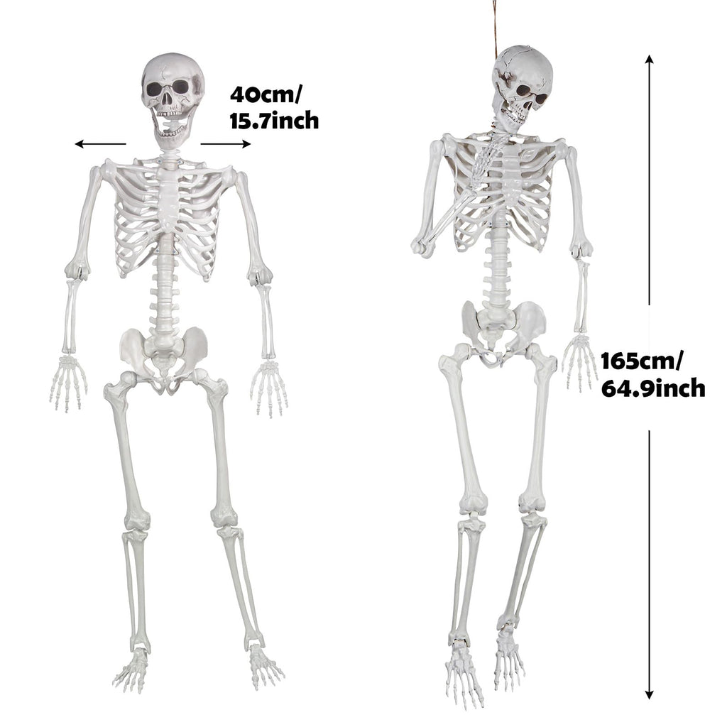 Life Size Skeleton with Posable Joints T74274