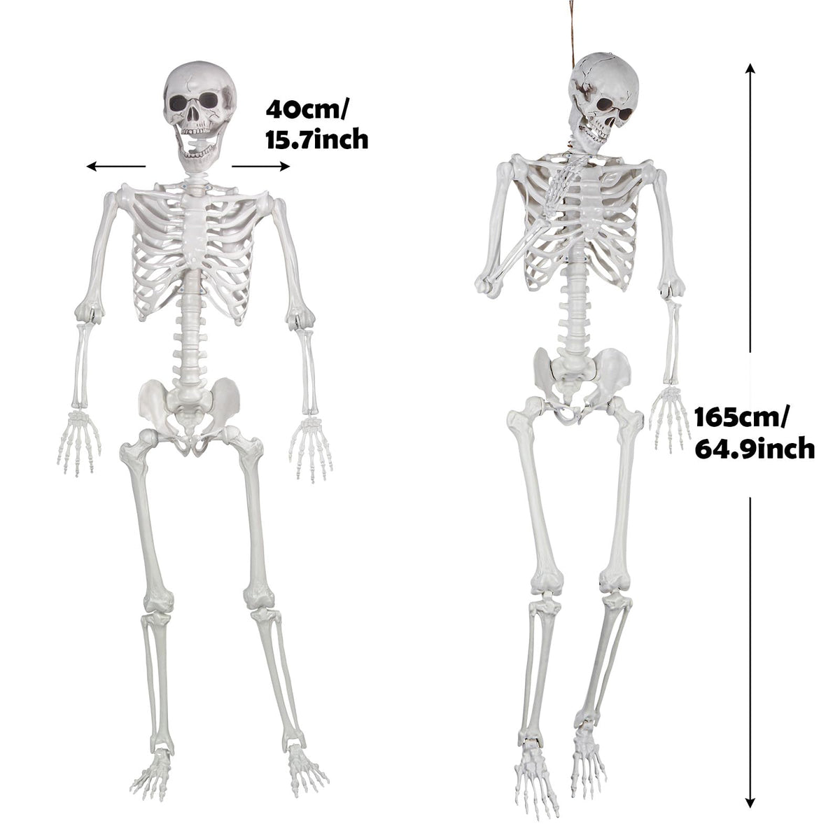 Life Size Skeleton with Posable Joints T74274