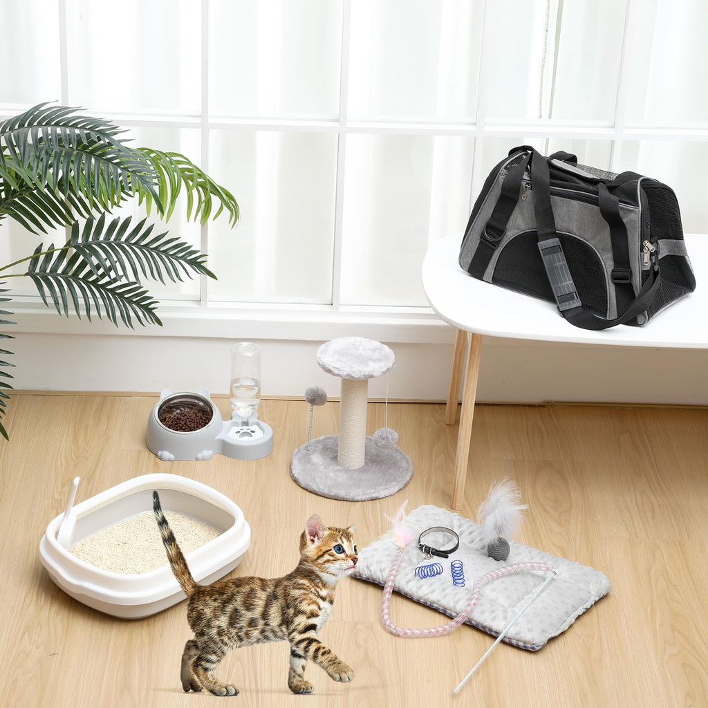 10 Pcs Kitten Starter Kit H80393