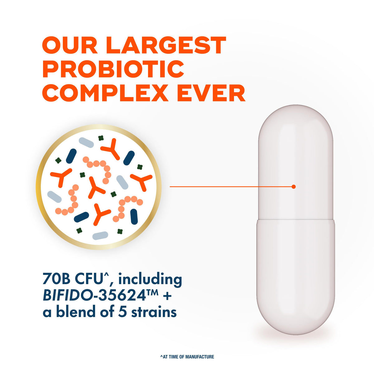 70 Billion CFU 6 Strain Blend Probiotic 30 Capsules D30950