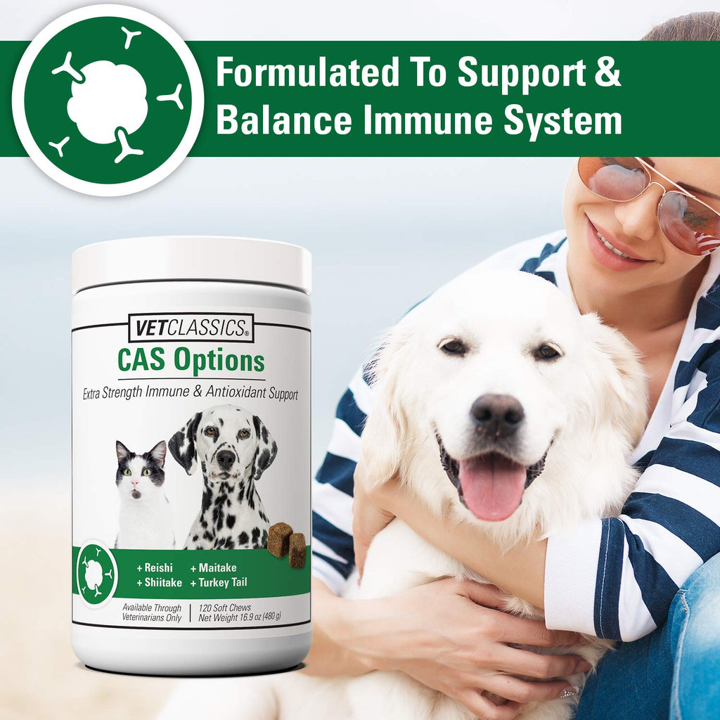 Immune Support Supplement for Dogs 120 Soft Chews E916239