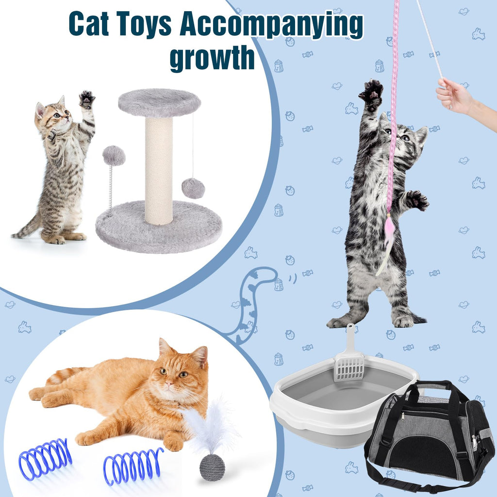 10 Pcs Kitten Starter Kit H80393