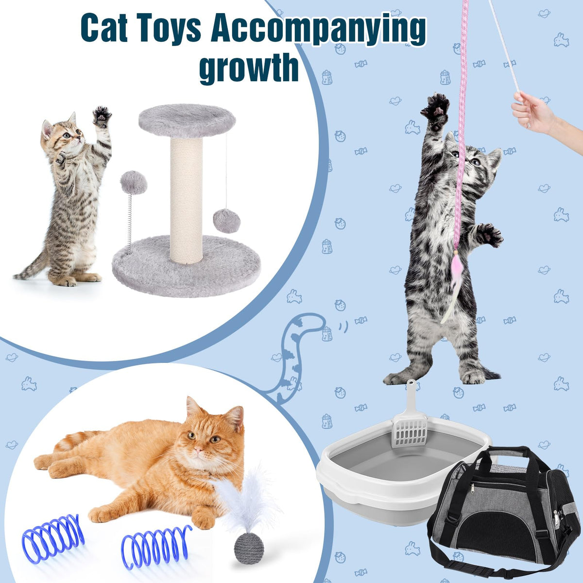 10 Pcs Kitten Starter Kit H80393