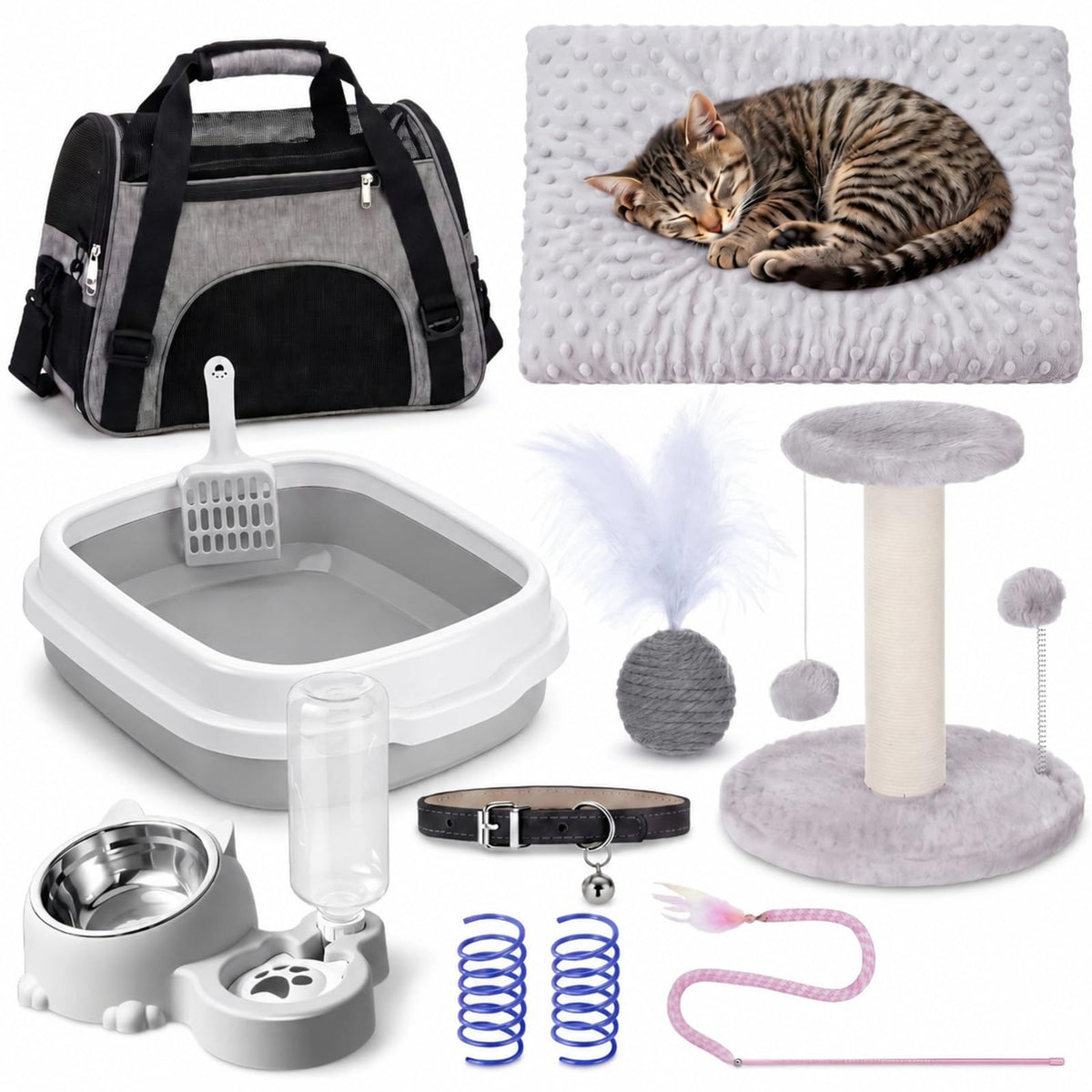 10 Pcs Kitten Starter Kit H80393