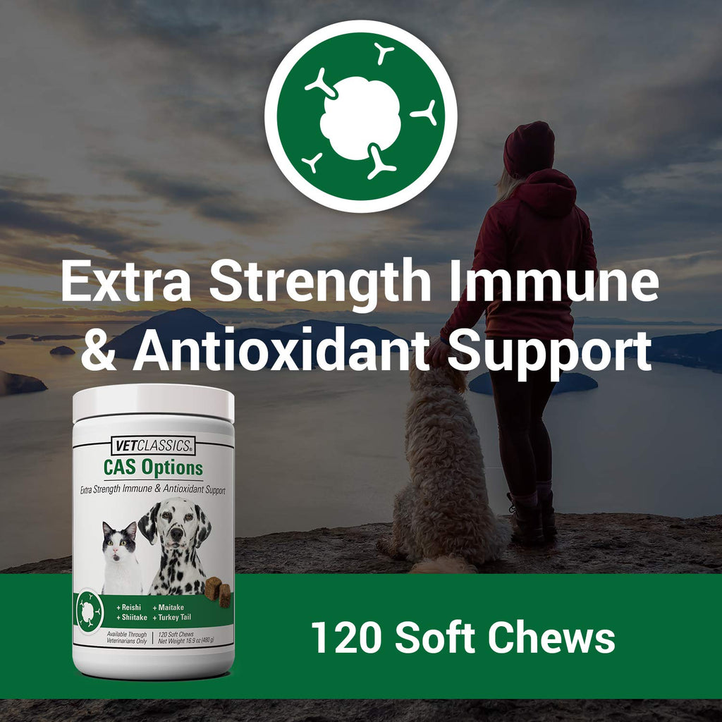 Immune Support Supplement for Dogs 120 Soft Chews E916239