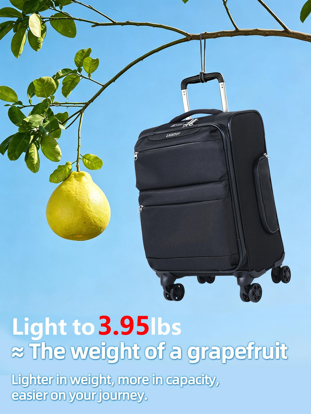 20" Carry On Softside Luggage Black X187