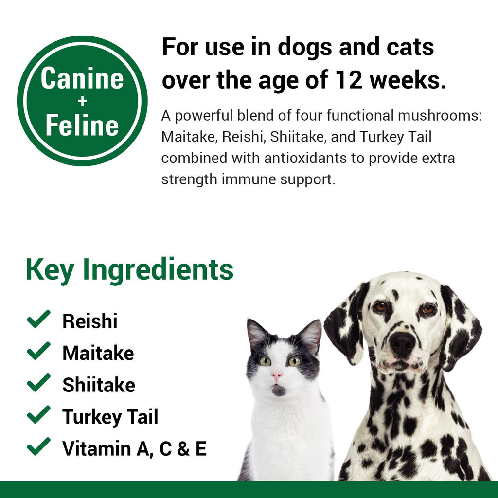 Immune Support Supplement for Dogs 120 Soft Chews E916239