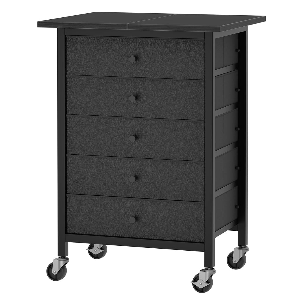 Black 5 Drawer Rolling File Cabinet with Wheels V2250
