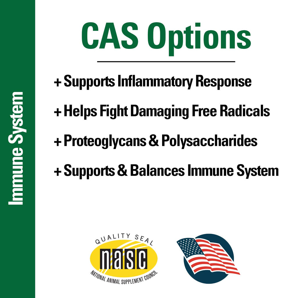 Immune Support Supplement for Dogs 120 Soft Chews E916239