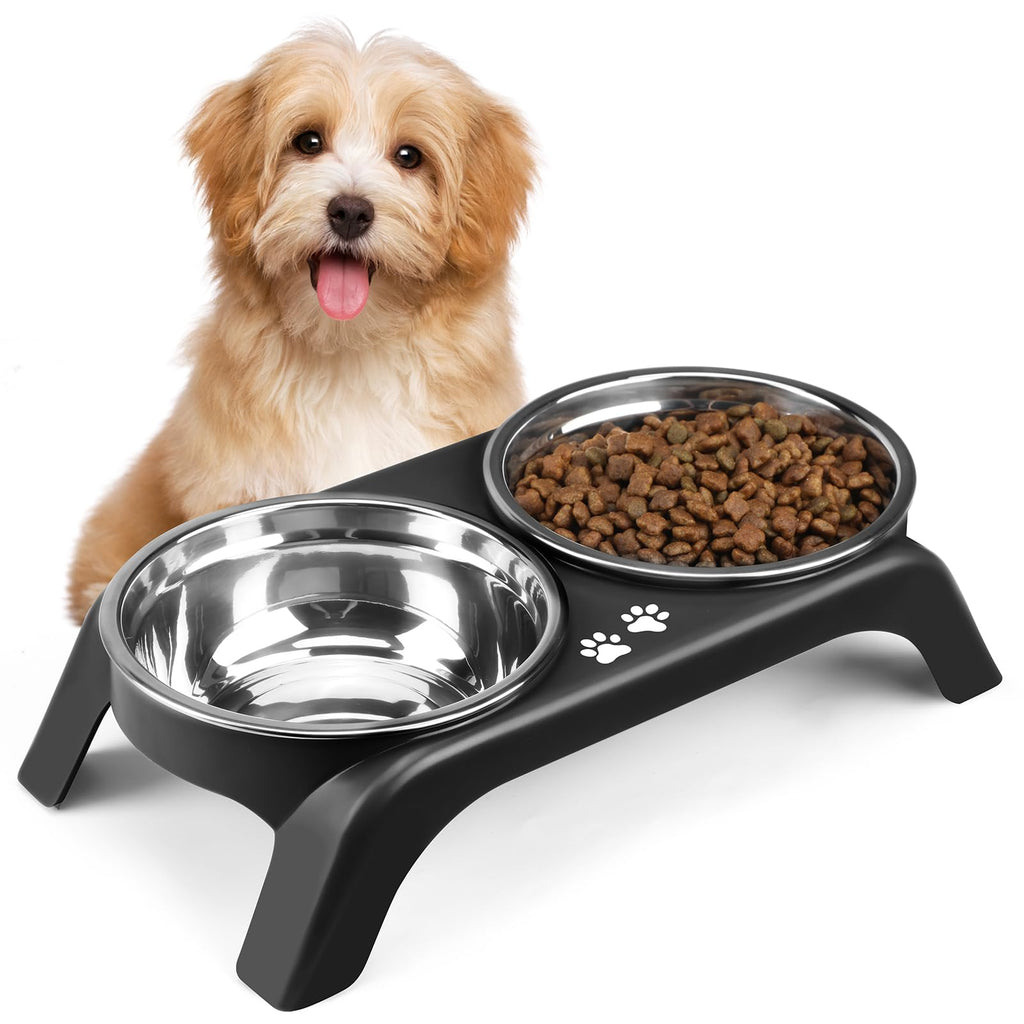 Elevated Dog Bowls with 5” Stainless Steel Bowls Black B98832