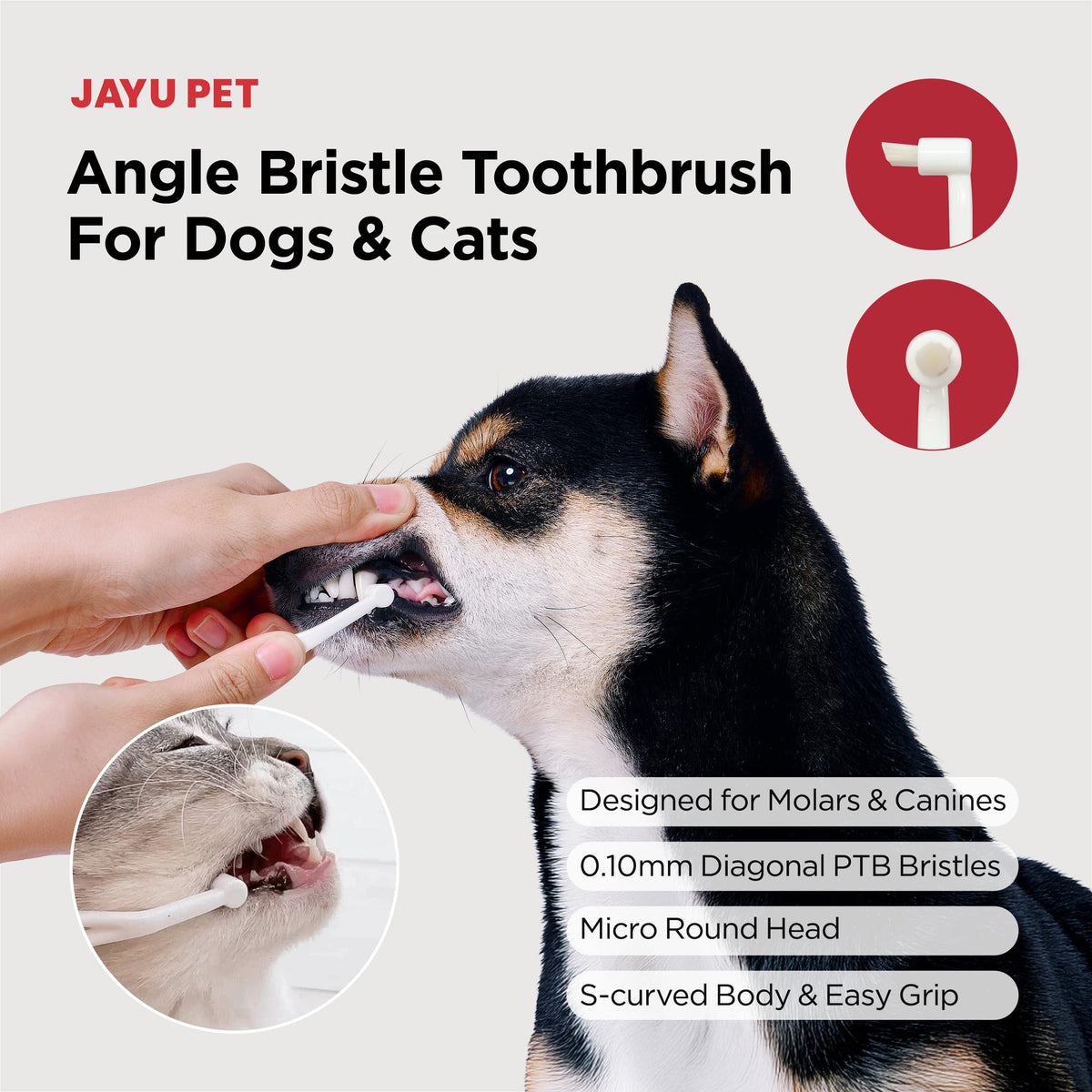 Micro Round Head Dog and Cat Toothbrush V7665