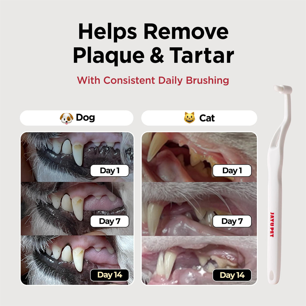 Micro Round Head Dog and Cat Toothbrush V7665