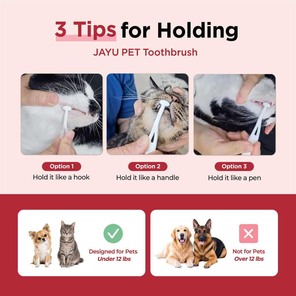 Micro Round Head Dog and Cat Toothbrush V7665
