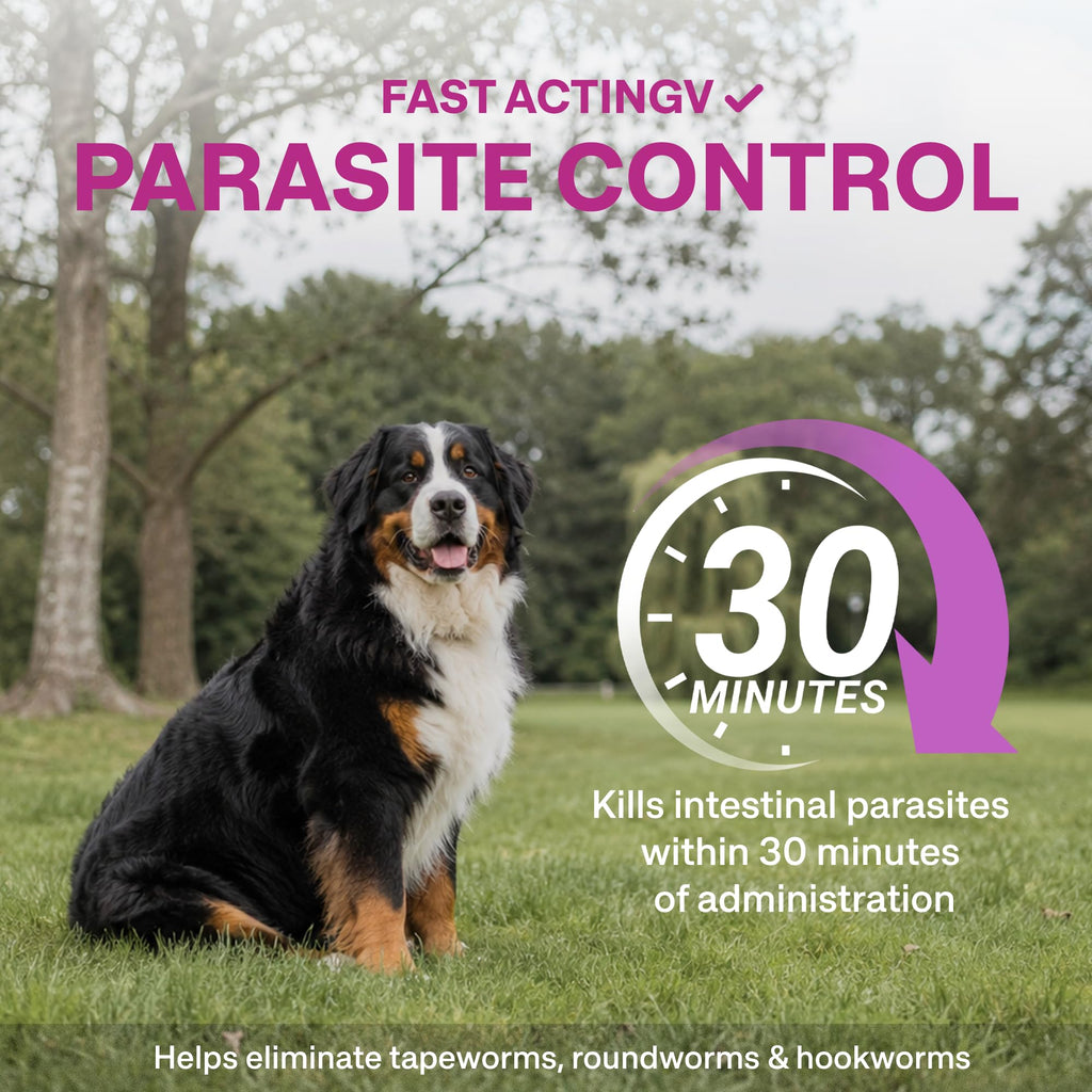 Dog Dewormer Liquid Formula with Praziquantel & Pyrantel Pamoate, 3.38 fl oz R80461