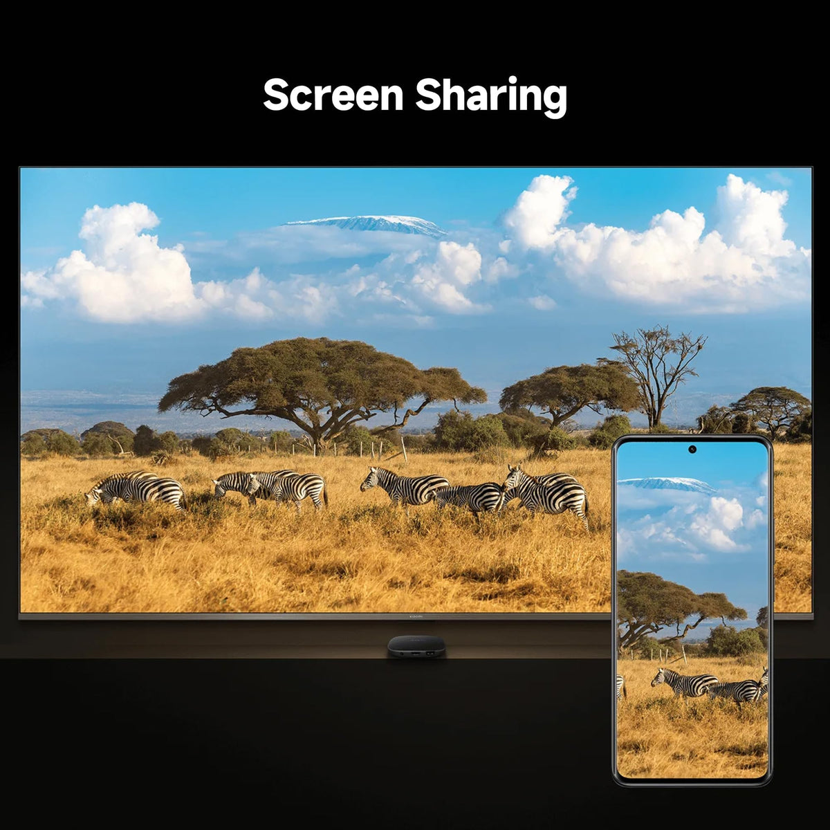 Android 4K UHD TV Box 2GB + 32GB Storage WiFi 6 HDMI 2.1 L633
