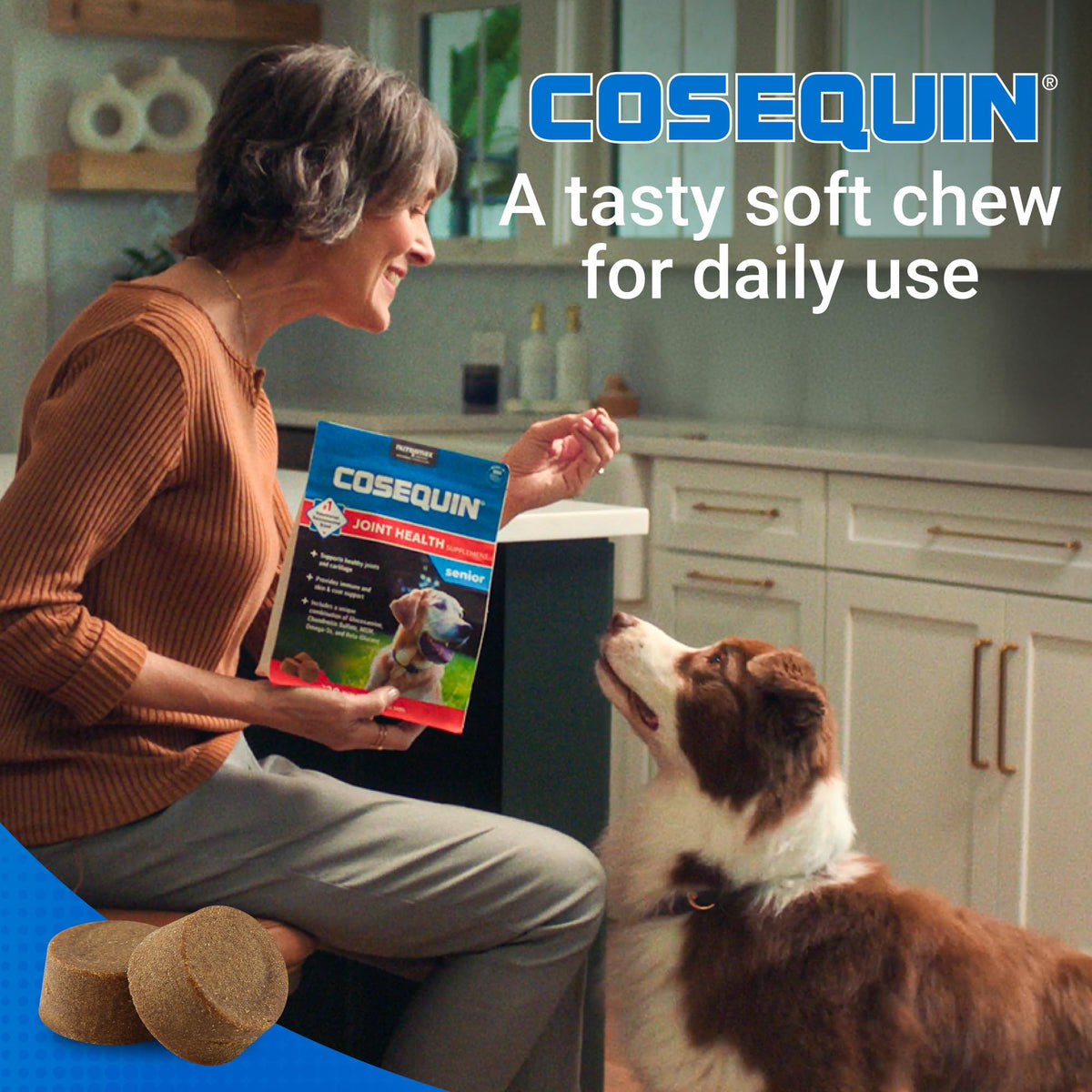 Soft Chews Dog Joint Supplement 60ct E4337
