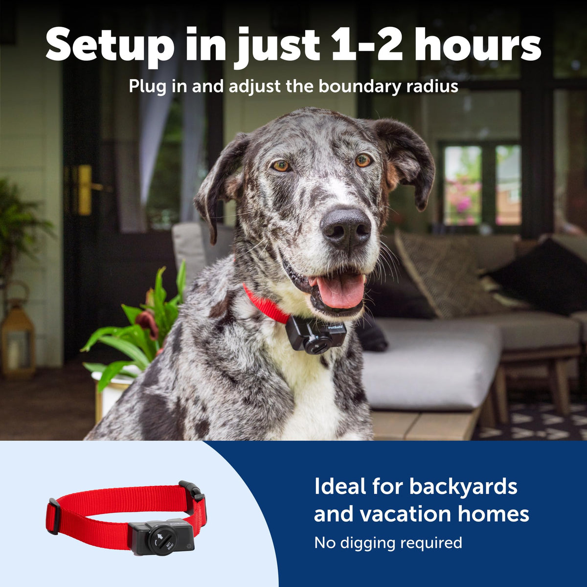 Wireless Pet Containment System, 2 Dogs, Up to 1/2 Acre O95385