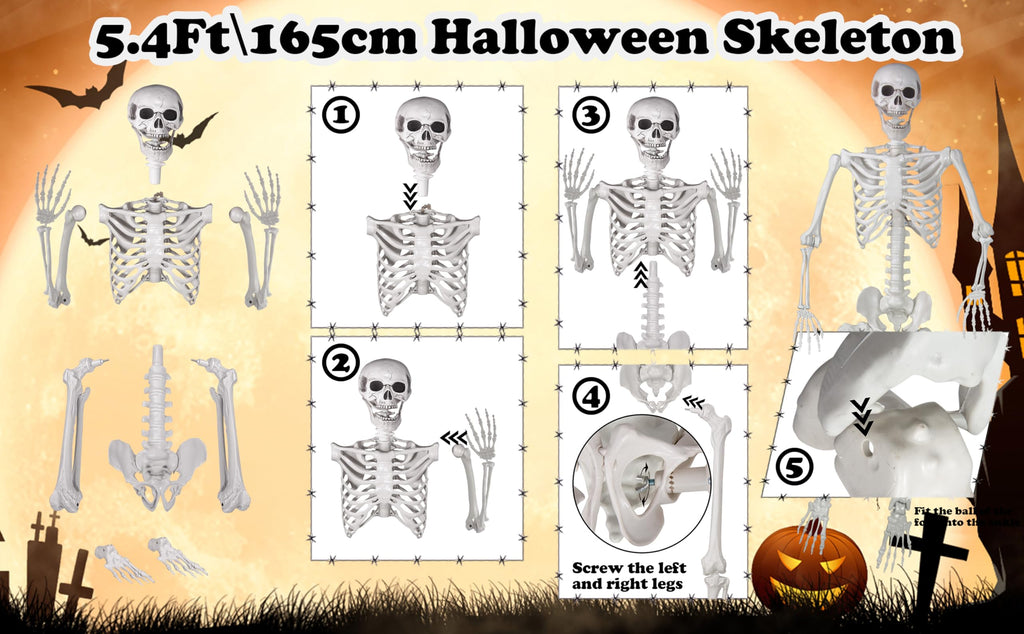Life Size Skeleton with Posable Joints T74274
