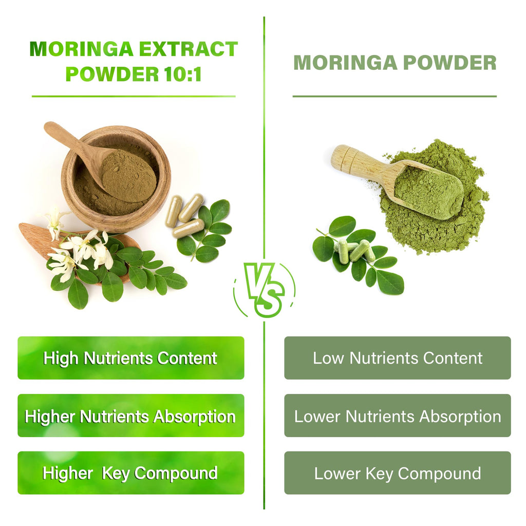 Moringa Capsules 300 Count P8532