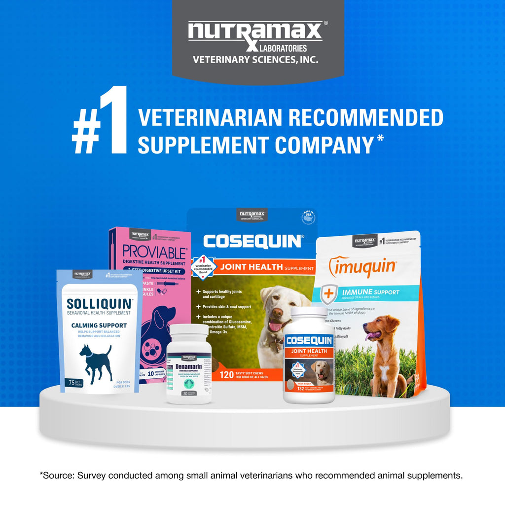 Soft Chews Dog Joint Supplement 60ct E4337